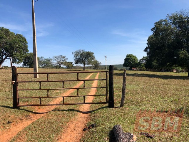 Fazenda/Sítios/Chácaras à venda Centro Agudos