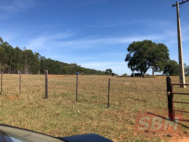 Fazenda/Sítios/Chácaras à venda Centro Agudos