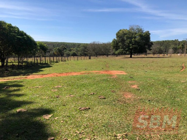 Fazenda/Sítios/Chácaras à venda Centro Agudos