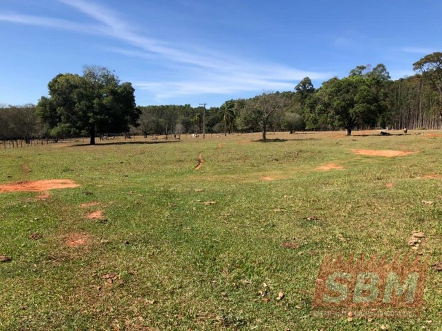 Fazenda/Sítios/Chácaras à venda Centro Agudos