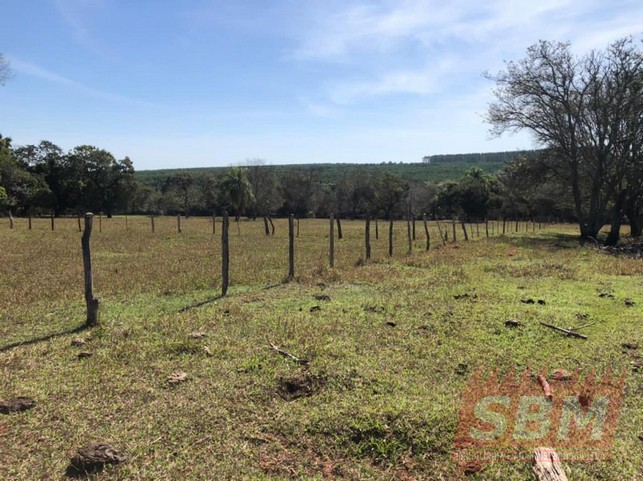 Fazenda/Sítios/Chácaras à venda Centro Agudos