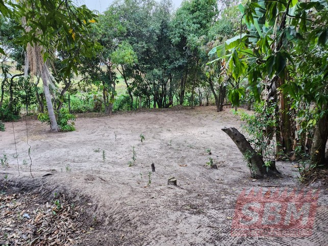 Fazenda/Sítios/Chácaras À Venda Centro Cafelândia