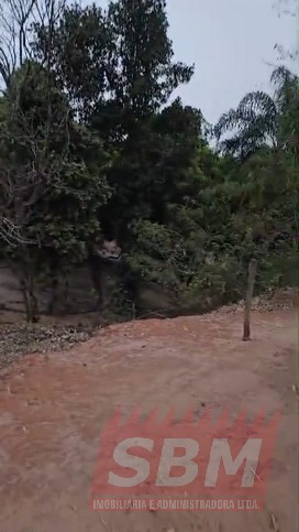 Fazenda/Sítios/Chácaras À Venda Centro Cafelândia
