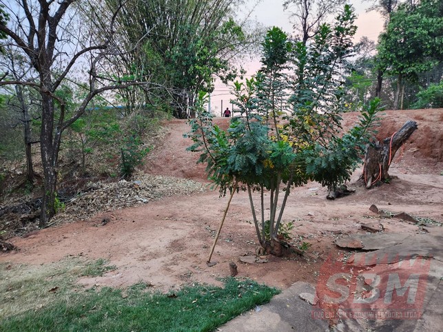 Fazenda/Sítios/Chácaras À Venda Centro Cafelândia