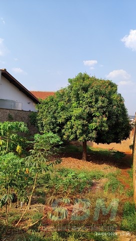 Terreno À Venda Jardim Nova Estância Barra Bonita