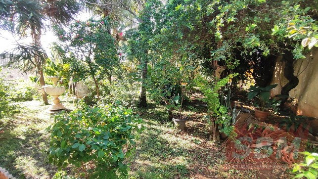 Terreno à venda CENTR0 Barra Bonita