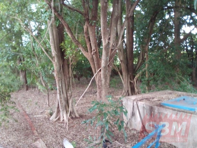 Fazenda/Sítios/Chácaras À Venda Bairro Do Monjolinho Igaraçu Do Tietê