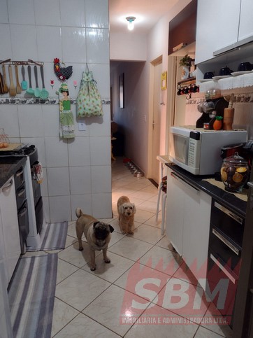 Casa para locação SONHO NOSSO IV Barra Bonita