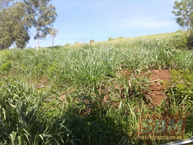 Terreno à venda São Benedito Barra Bonita