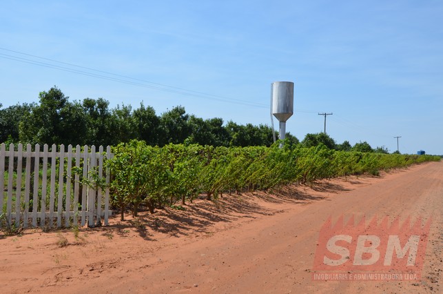Fazenda/Sítios/Chácaras À Venda Cidade Mineiros Do Tietê