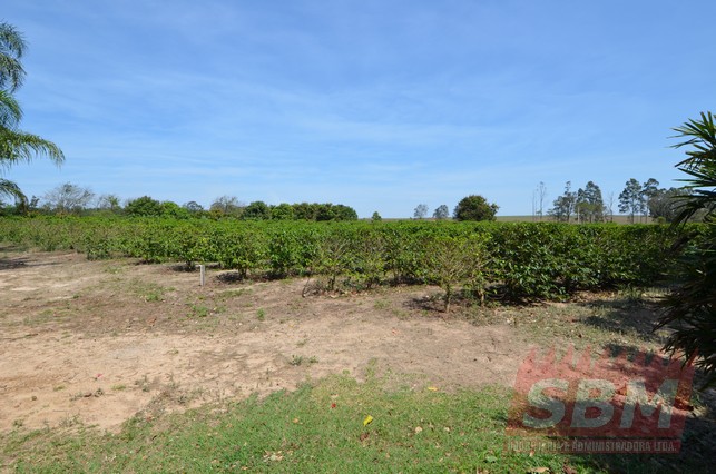 Fazenda/Sítios/Chácaras À Venda Cidade Mineiros Do Tietê