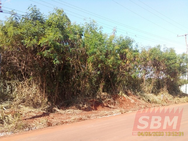 Fazenda/Sítios/Chácaras à venda BAIRRO DO ENTULHO E ESTIVA Barra Bonita