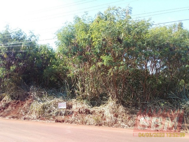 Fazenda/Sítios/Chácaras à venda BAIRRO DO ENTULHO E ESTIVA Barra Bonita