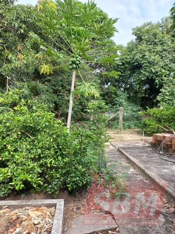 Fazenda/Sítios/Chácaras À Venda Docemar Mineiros Do Tietê