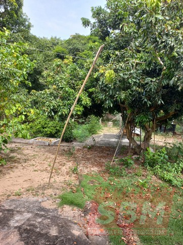 Fazenda/Sítios/Chácaras À Venda Docemar Mineiros Do Tietê