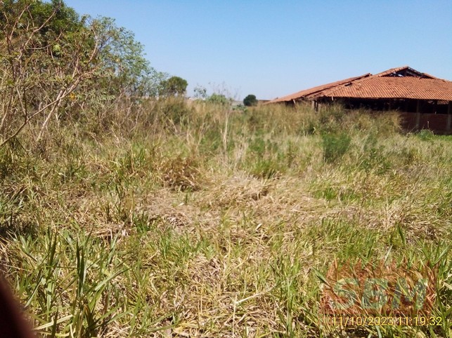 Terreno À Venda E Locação Parque Ind São Domingos Barra Bonita