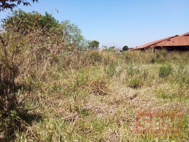 Terreno À Venda E Locação Parque Ind São Domingos Barra Bonita