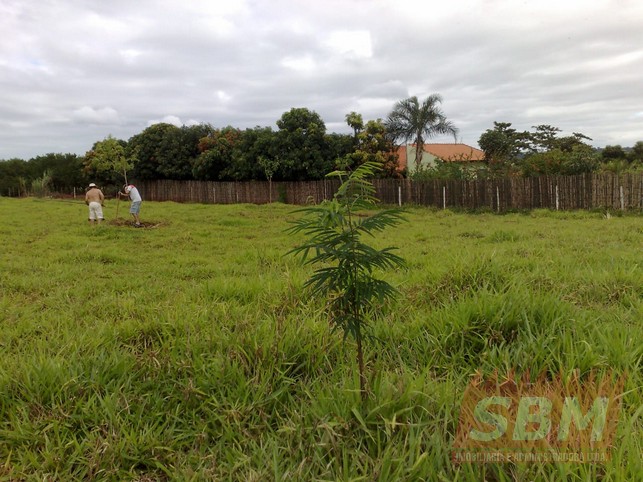 Fazenda/Sítios/Chácaras À Venda Condominío Jacaré Pepira Itaju