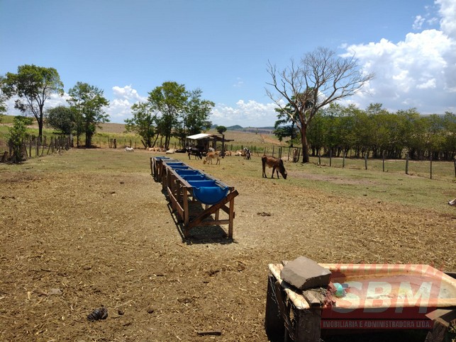 Fazenda/Sítios/Chácaras à venda Pedra Branca Mineiros do Tiête