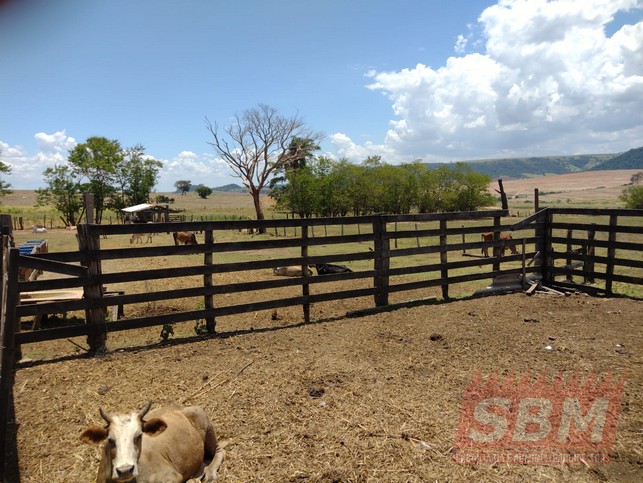 Fazenda/Sítios/Chácaras à venda Pedra Branca Mineiros do Tiête