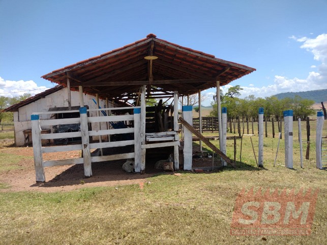 Fazenda/Sítios/Chácaras à venda Pedra Branca Mineiros do Tiête