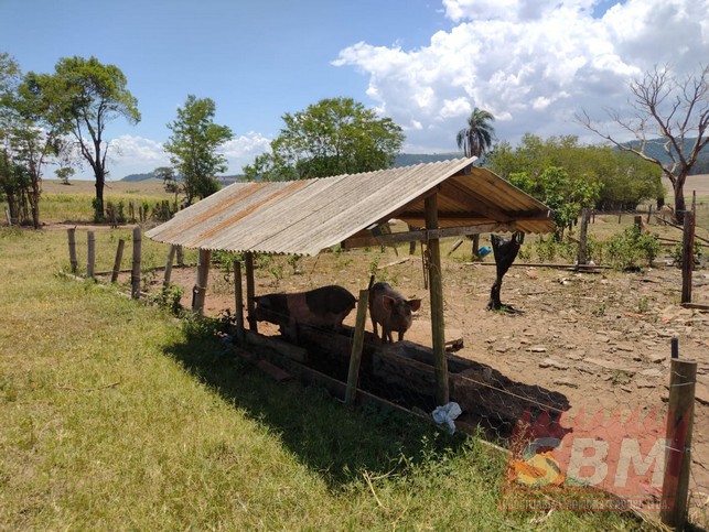 Fazenda/Sítios/Chácaras à venda Pedra Branca Mineiros do Tiête