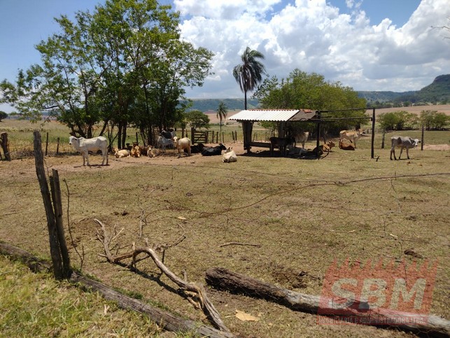 Fazenda/Sítios/Chácaras à venda Pedra Branca Mineiros do Tiête