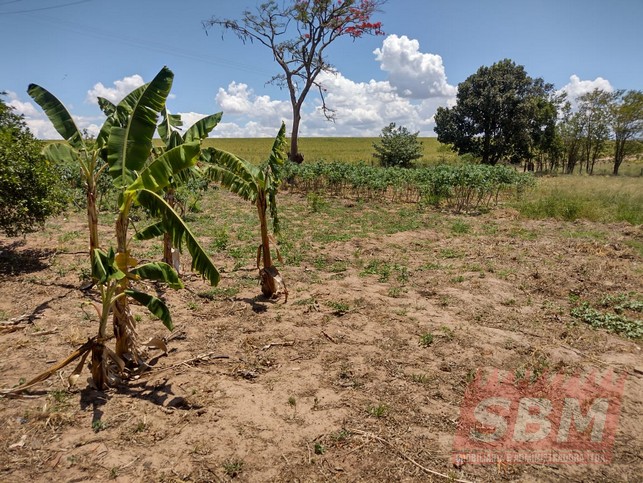 Fazenda/Sítios/Chácaras à venda Pedra Branca Mineiros do Tiête