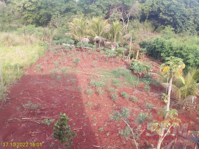 Fazenda/Sítios/Chácaras à venda VILA SEGURA GARCIA Igaraçu do Tietê