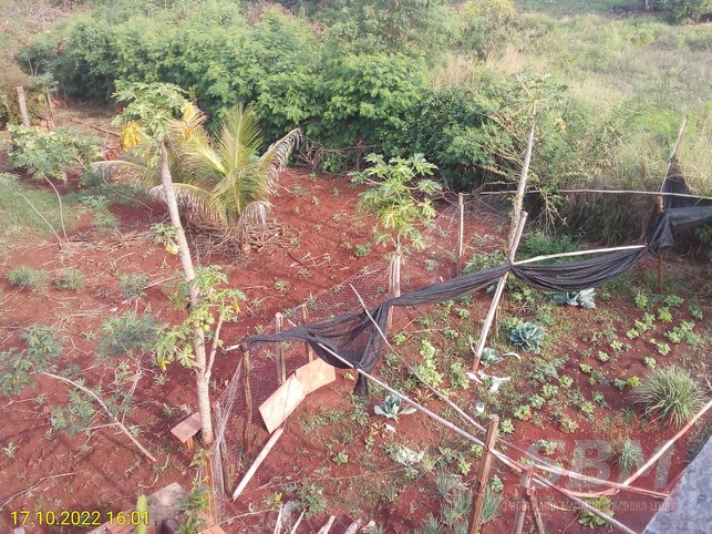 Fazenda/Sítios/Chácaras à venda VILA SEGURA GARCIA Igaraçu do Tietê