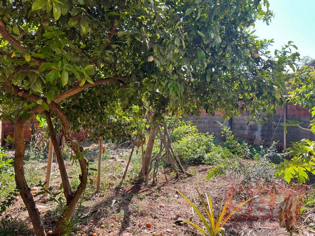 Casa À Venda Jardim Vista Alegre Barra Bonita