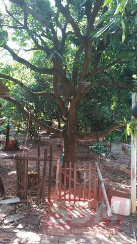Terreno À Venda Jardim Morumbi Lençóis Paulista