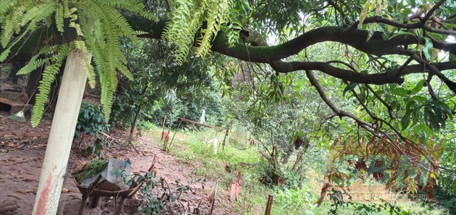 Terreno À Venda Jardim Morumbi Lençóis Paulista