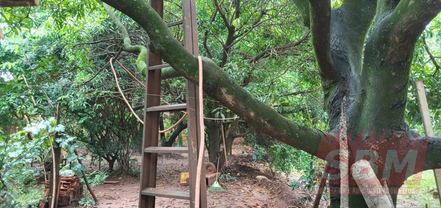 Terreno À Venda Jardim Morumbi Lençóis Paulista