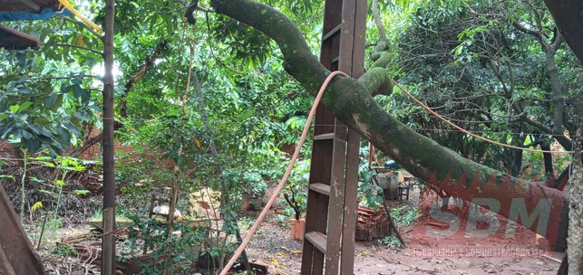 Terreno À Venda Jardim Morumbi Lençóis Paulista