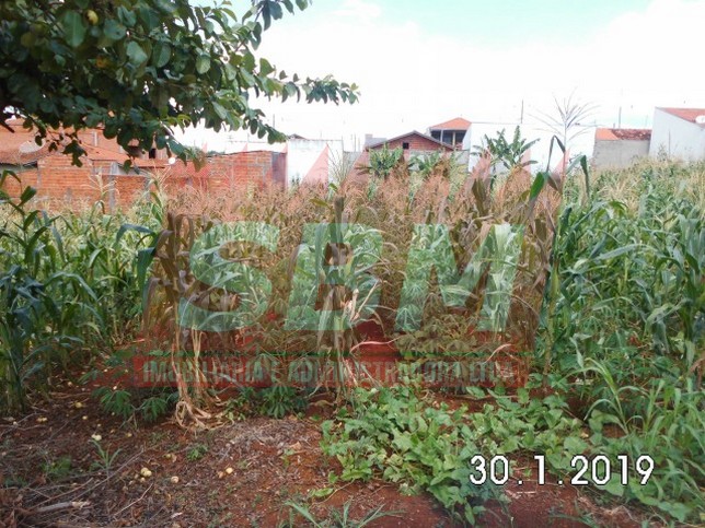 Terreno À Venda Vila Segura Garcia Igaraçu Do Tietê