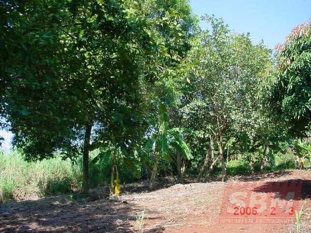 Fazenda/Sítios/Chácaras À Venda Chacaras/Sitios Barra E Região Barra Bonita