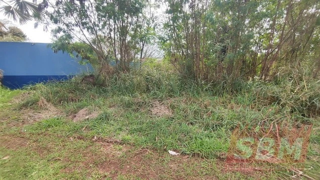 Imagens do imóveis Fazenda/Sítios/Chácaras À Venda S/N Igaraçu Do Tiete