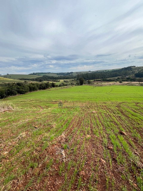 Fazenda 76 alqueires  - Município de Londrina