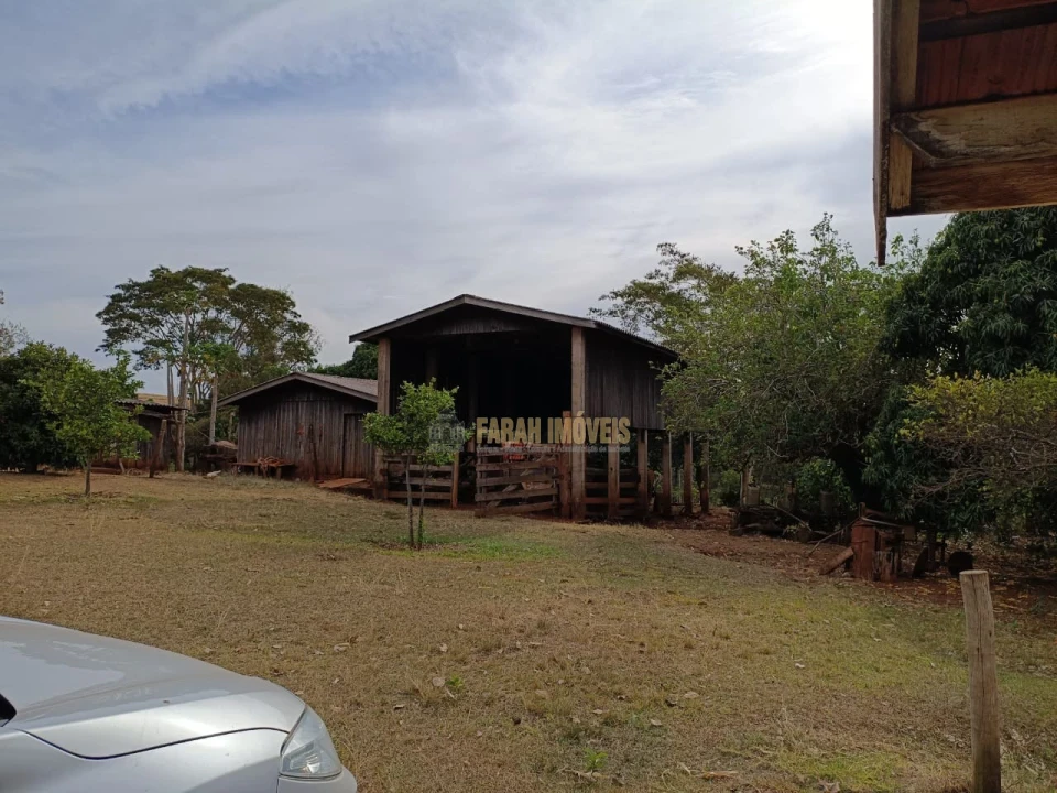 24 alqueires em Primeiro de Maio-Pr