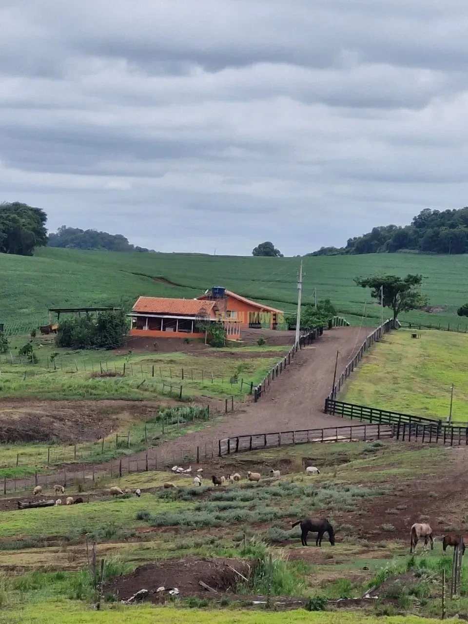 Imagens do imóveis Fazenda 100 alqueires