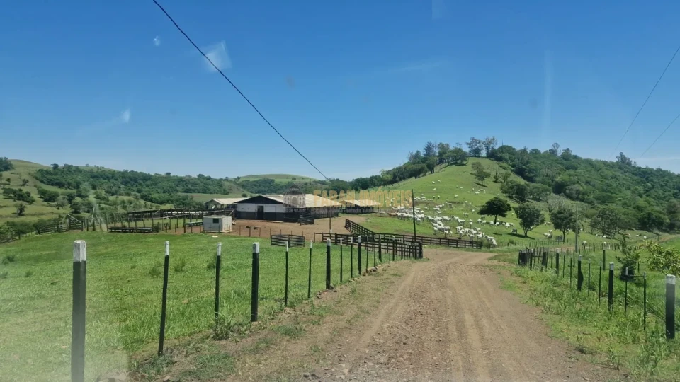 Imagens do imóveis Fazenda 100 alqueires