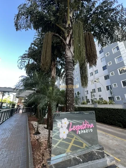 Imagens do imóveis Edifício  Spazio Leopoldina