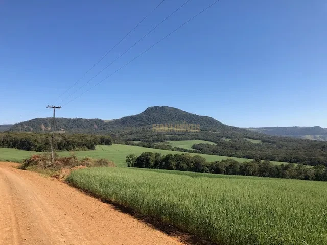 FAZENDA EM TAMARANA -PR, com 1.000 Hectares