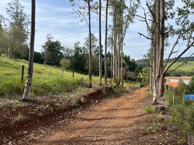 Fazenda 76 alqueires  - Município de Londrina