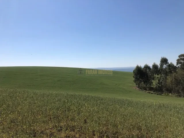 FAZENDA EM TAMARANA -PR, com 1.000 Hectares