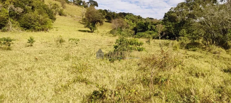 Imagens do imóveis Fazenda 100 alqueires