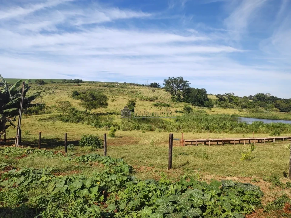 Imagens do imóveis Fazenda 100 alqueires