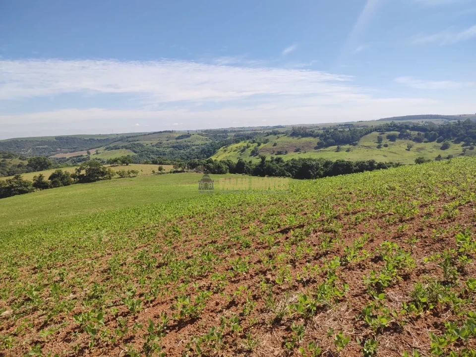 Imagens do imóveis Fazenda 100 alqueires