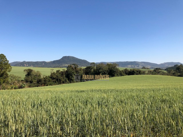 Fazenda  Município de Londrina - Zona Rural